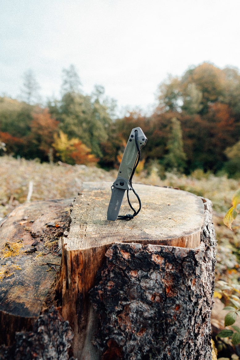 Taschenmesser im Baumstamm